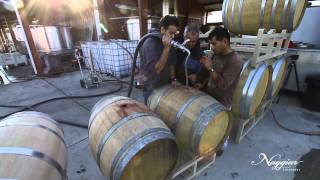 Vine to Wine Winemaking at Naggiar Vineyards [upl. by Holladay]