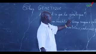 Cours  Terminale  SVT  Génétique  Introduction [upl. by Weisbart]