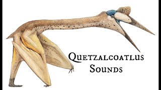 Quetzalcoatlus Sounds [upl. by Eilahtan937]