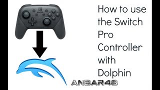 How to use a Switch Pro Controller with Dolphin on Mac or PC [upl. by Onitnelav]