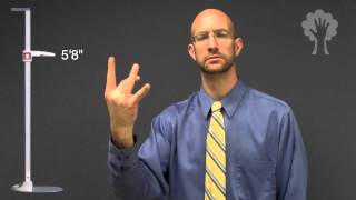 Telling Height  ASL  American Sign Language [upl. by Pontus]