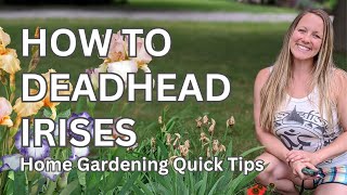 Deadheading Irises  Quick amp Easy Home Gardening [upl. by Lytsirk]