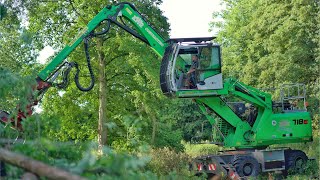 Sennebogen 718E Felling Trees [upl. by Reger]