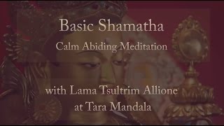 Basic Shamatha  Calm Abiding Meditation [upl. by Varden692]