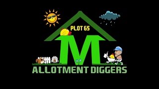 ALLOTMENT DIGGERS THE 6 MONTH TOUR [upl. by Narcho]