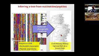 MIT CompBio Lecture 19  Phylogenetics [upl. by Dorotea]