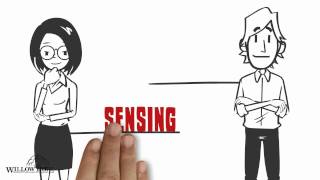 Whats My Personality Sensing or Intuition  5 Minute MBTI [upl. by Roht972]