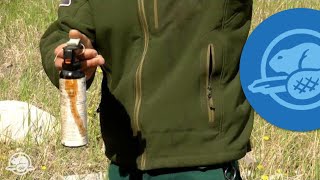 How to Use Bear Spray  Banff National Park [upl. by Vachel]