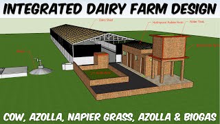 Integrated Dairy Farming Model Design  Cow Azolla Napier Hydroponic Fodder Farm amp Biogas Design [upl. by Atsirhcal95]