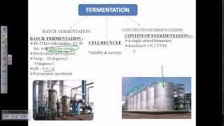 Alcohol fermentation overview [upl. by Inalej634]