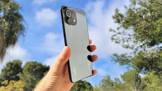 Mi 11 Lite Camera Review EXACTLY What To Expect [upl. by Ingeberg981]