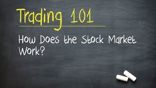 Trading 101 How Does the Stock Market Work [upl. by Anecusa]