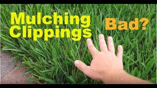 Does Mulching Clippings Cause Thatch Buildup In Lawns [upl. by Erickson768]