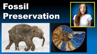 Fossil Preservation Modes and Major Invertebrate Groups  GEO GIRL [upl. by Upton]