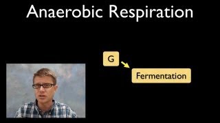 Anaerobic Respiration [upl. by Fishman869]