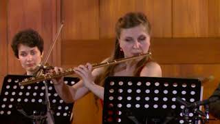 W A Mozart Turkish March Rondo Alla Turca [upl. by Ailongam]