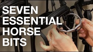 Seven Essential Horse Bits [upl. by Kristof]