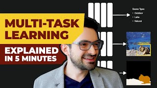 MultiTask Learning  Explained in 5 Minutes [upl. by Alene]