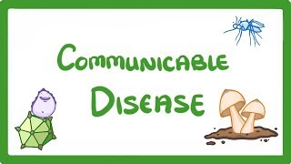 GCSE Biology  Communicable Disease 34 [upl. by Bonnee]