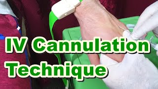 How to Insert IV Cannula  IV Cannulation Technique  Branula  Intravenous Catheter [upl. by Chancey]