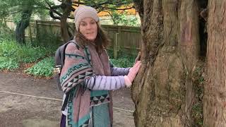 Walk Through Chalice Well Gardens Glastonbury UK  Jelelle Awen [upl. by Ailhat709]