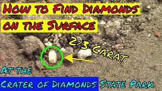 Surface hunting for diamonds at the Crater of Diamonds State Park [upl. by Tifanie]