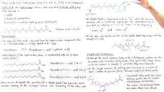 Fatty Acids [upl. by Princess]