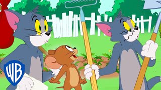 Tom amp Jerry  Tom Goes Home  WB Kids [upl. by Kwarteng]