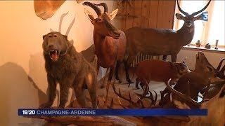 Portrait de Laurent Thevenez taxidermiste en HauteMarne [upl. by Nallij766]