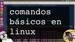 Comandos básicos en linux el terminal y el command prompt [upl. by Hildegarde]