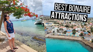 Bonaire Travel Guide  The Best Things to See and Do in Bonaire [upl. by Rohn534]