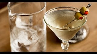 Dirty Martini Cocktail Recipe  Liquorcom [upl. by Ailegna]