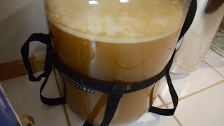 Homebrewing Basics Fermentation [upl. by Aisereht852]