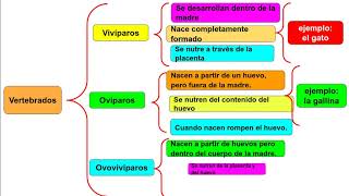 ESQUEMA DE LLAVES [upl. by Alderman]