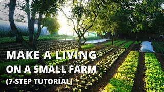 How to Start a Farm From Scratch Beginners Guide to Growing Vegetables for Profit [upl. by Amahs]