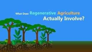 What is Regenerative Agriculture [upl. by Rehpotsihc]