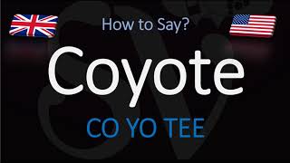 How to Pronounce Coyote  English American Pronunciation [upl. by Finer824]