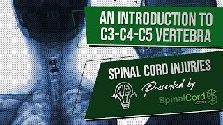 C3 C4 C5 Definitions Cervical Spinal Cord Injury Symptoms Causes Treatments and Recovery [upl. by Enneite]