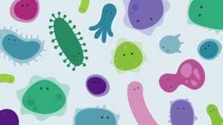 Introducing The Human Gut Microbiome [upl. by Alliehs]