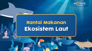 Rantai Makanan Ekosistem Laut BelajarDiRumah [upl. by Adni670]