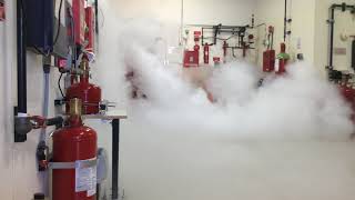 CO2 Fire Suppression System Discharge at Koorsen Training Center [upl. by Etnovad]