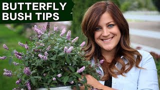 Butterfly Bush Care Tips  Garden Answer [upl. by Lonnie702]