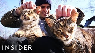 Meet The Man Who’s Turned His Home Into A Sanctuary For Over 300 Cats [upl. by Haymo]