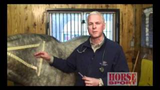 Equine Intramuscular Injections [upl. by Atnas]