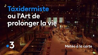 Taxidermiste ou lart de prolonger la vie  Météo à la carte [upl. by Melosa]