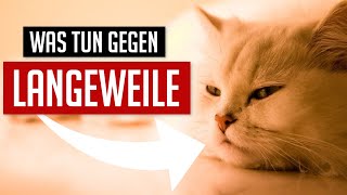 10000 Tipps gegen Langeweile [upl. by Konrad580]