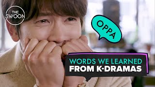 Words we learned from Kdramas ENG SUB [upl. by De Witt607]