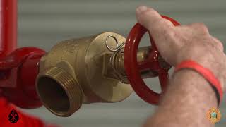 Fire Suppression System Training Part 2 Valves [upl. by Eidok]