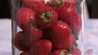 How to extract DNA from strawberries [upl. by Tewfik]