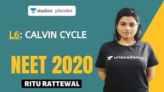 L6 Calvin Cycle  Photosynthesis Complete NCERT Review  NEET 2020 [upl. by Ahseiat]